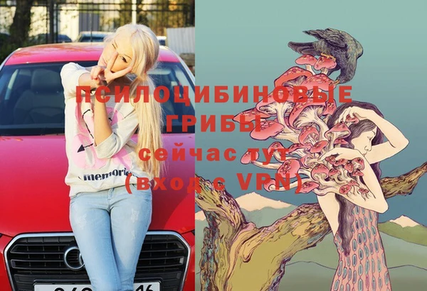 ГАЛЛЮЦИНОГЕННЫЕ ГРИБЫ Майский