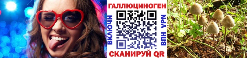 Галлюциногенные грибы GOLDEN TEACHER что такое Дербент