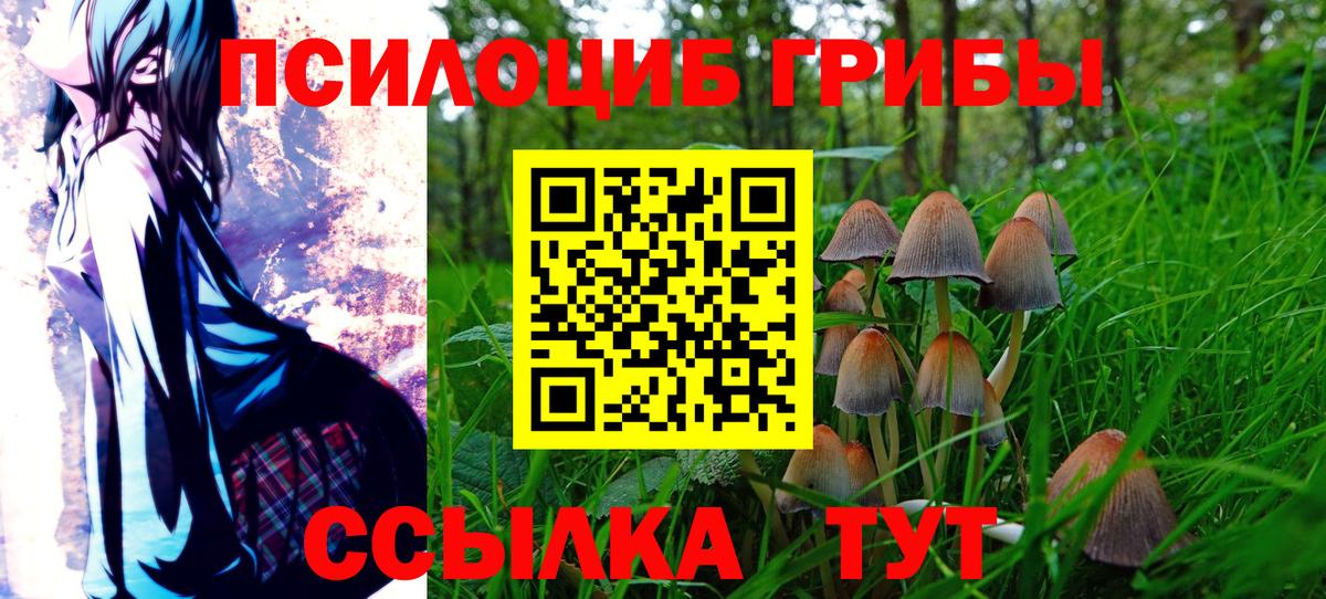 Галлюциногенные грибы GOLDEN TEACHER Дербент