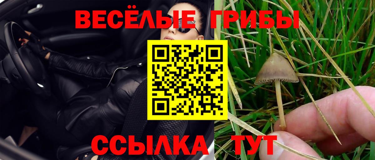 Галлюциногенные грибы Psilocybe  Вход с VPN  Галлюциногенные грибы Magic Shrooms  Дербент 