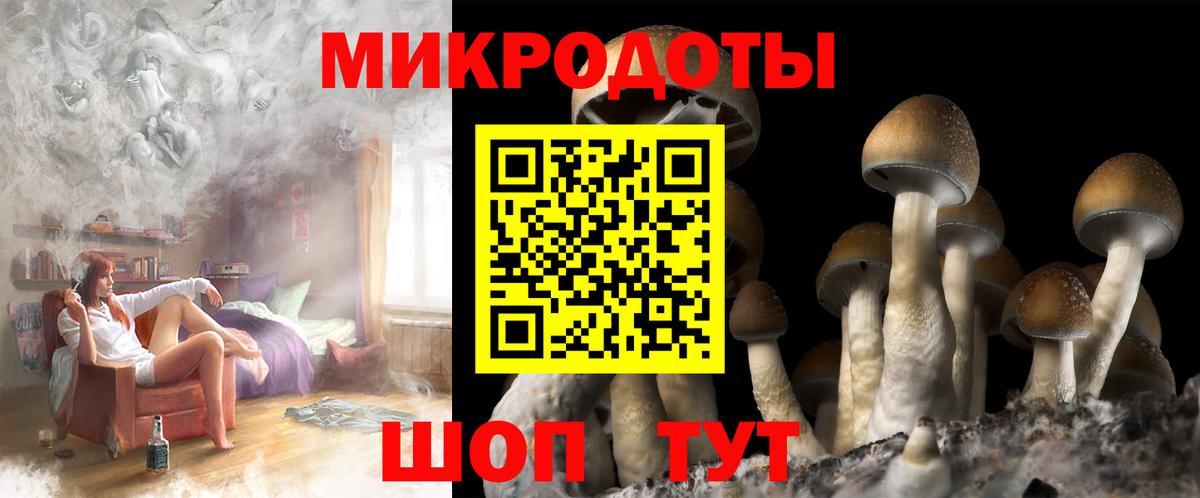 Галлюциногенные грибы мицелий  Дербент 