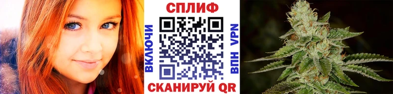 как найти закладки  Дербент  Бошки марихуана тримм 
